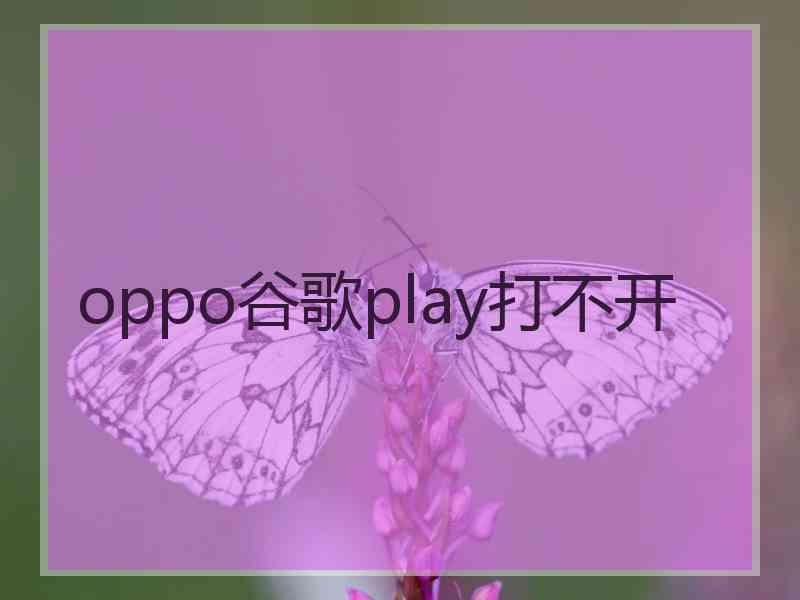 oppo谷歌play打不开