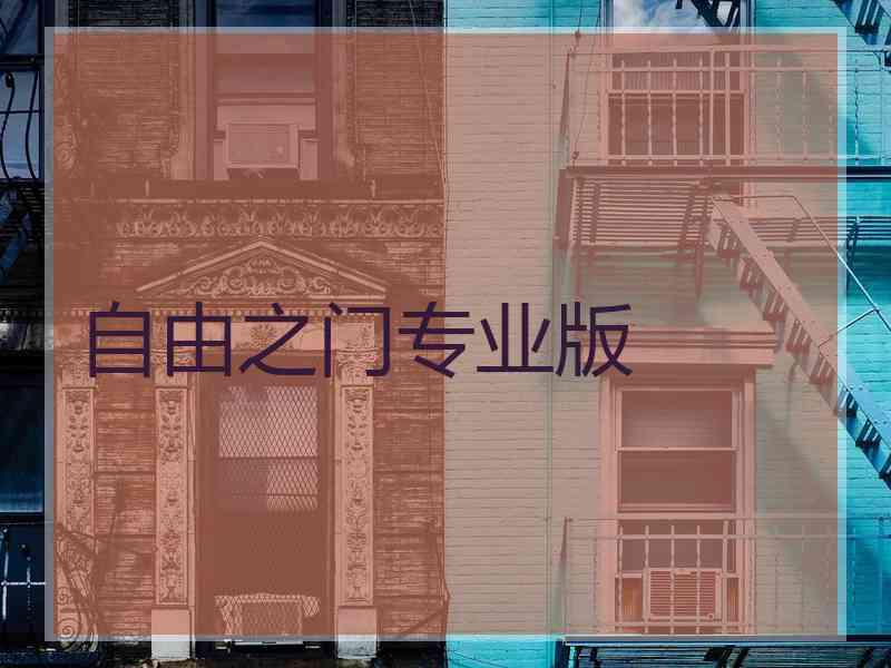 自由之门专业版