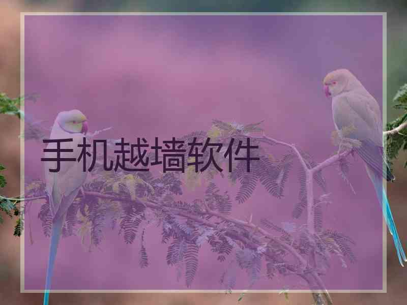 手机越墙软件