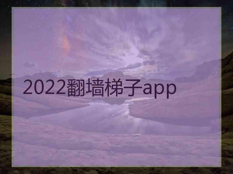 2022翻墙梯子app