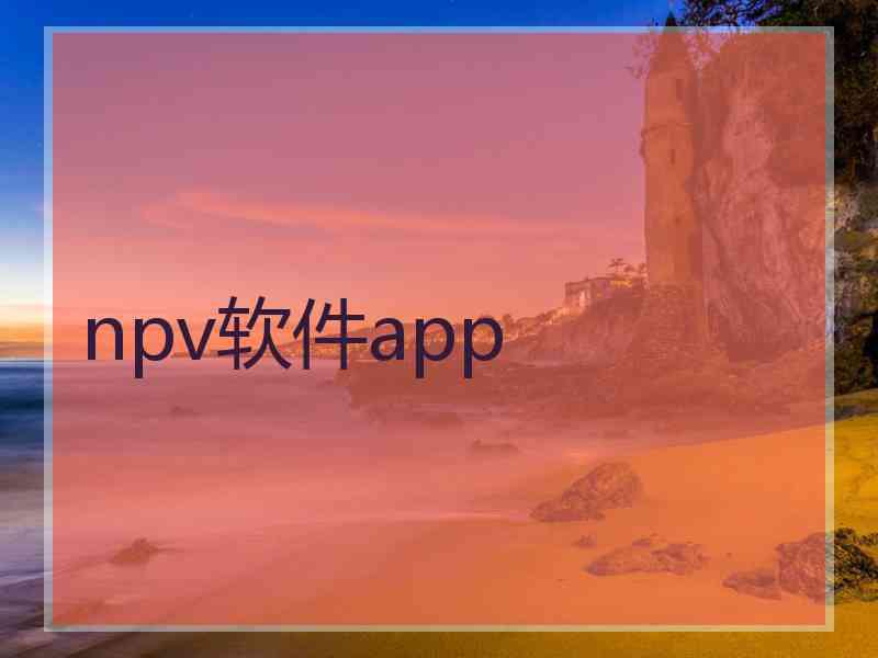 npv软件app