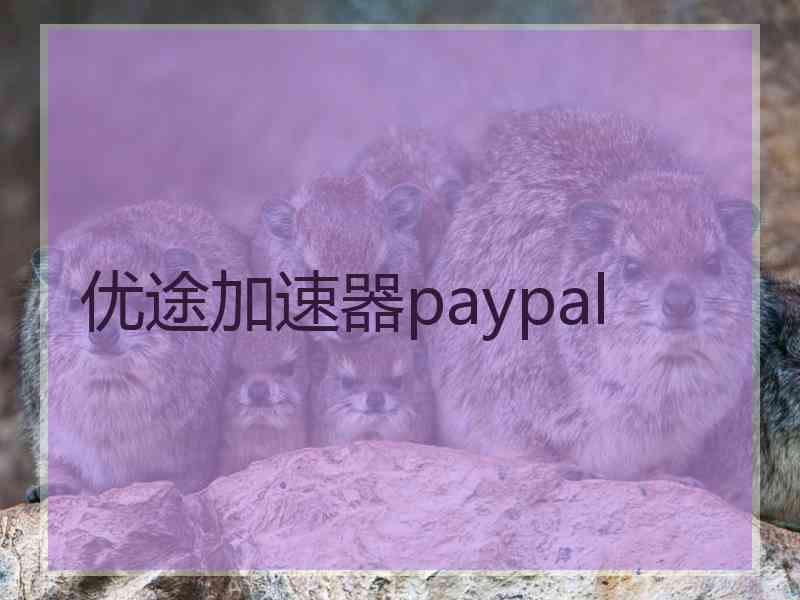 优途加速器paypal