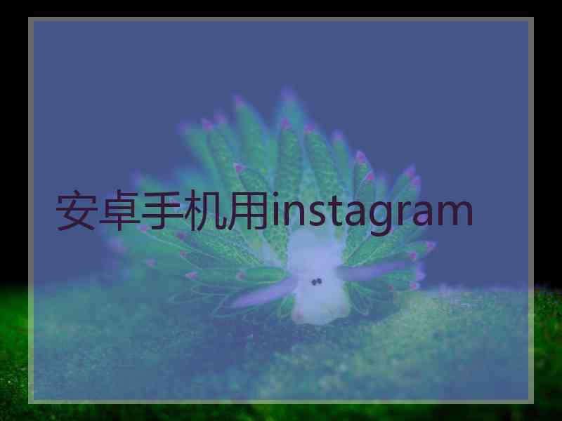 安卓手机用instagram