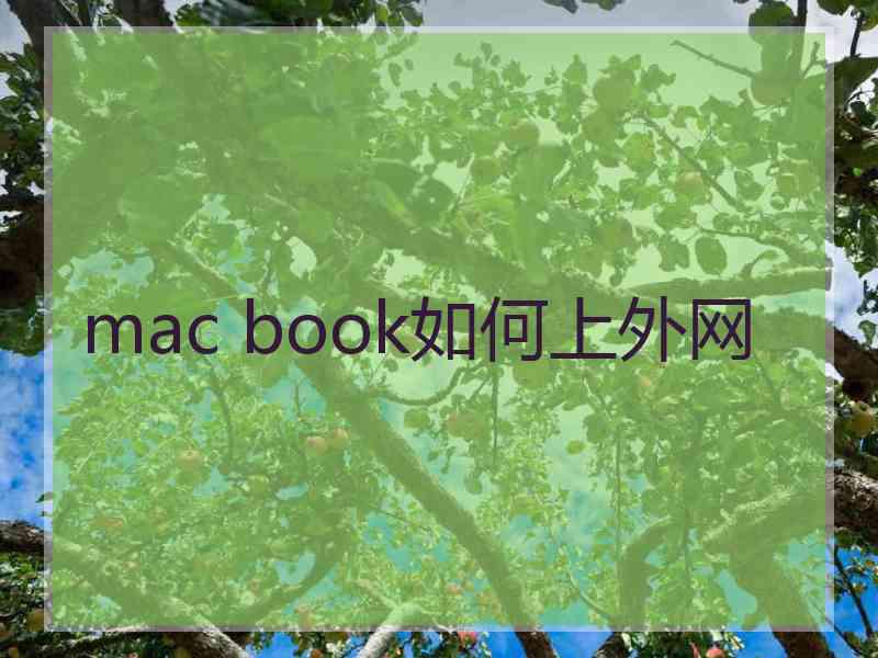 mac book如何上外网