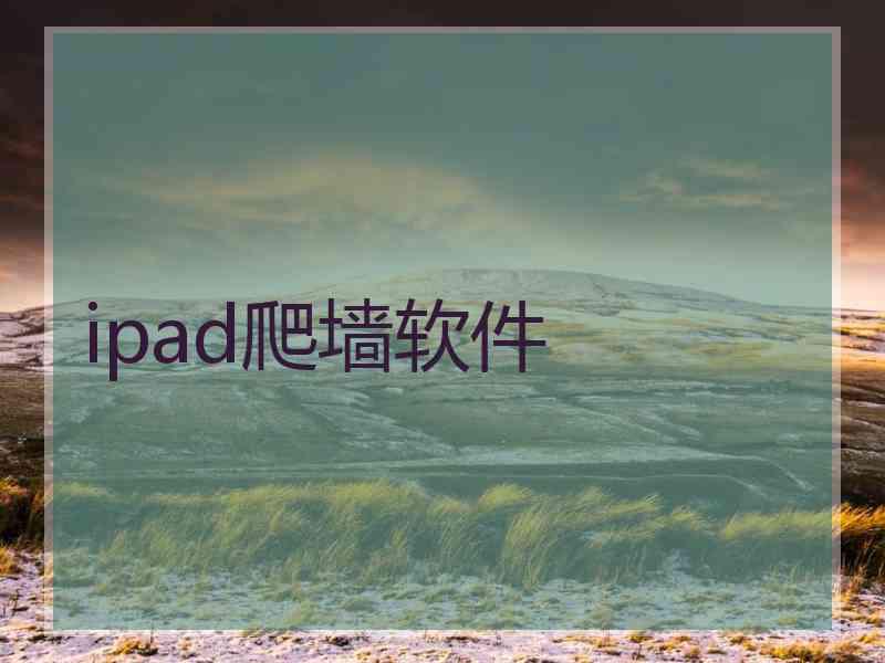 ipad爬墙软件