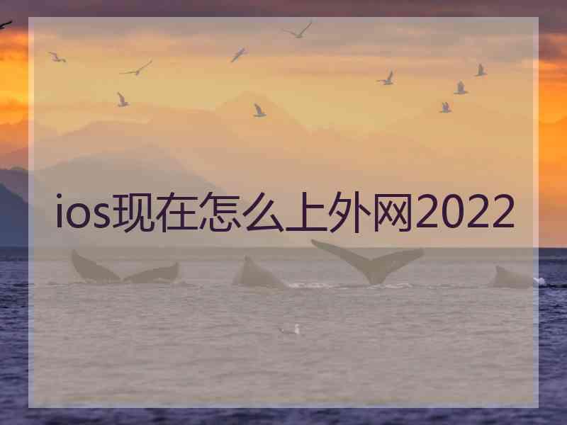 ios现在怎么上外网2022