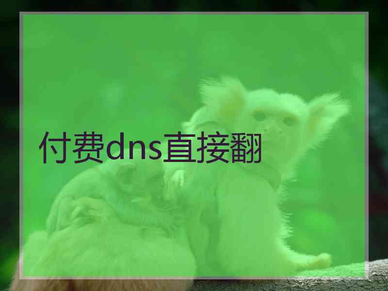 付费dns直接翻