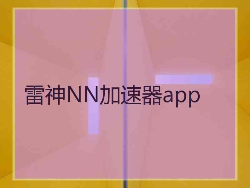 雷神NN加速器app