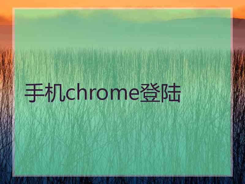 手机chrome登陆