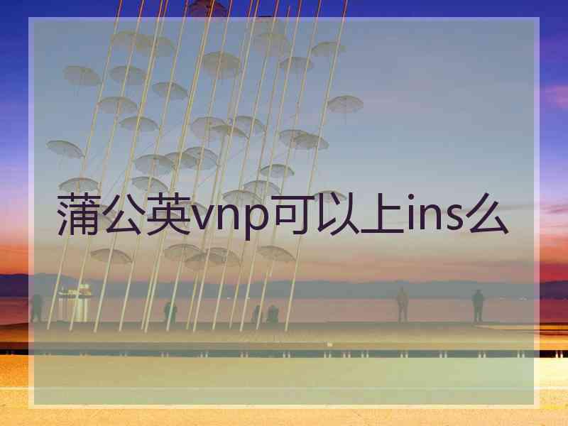 蒲公英vnp可以上ins么