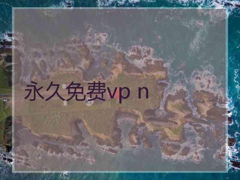 永久免费vp n