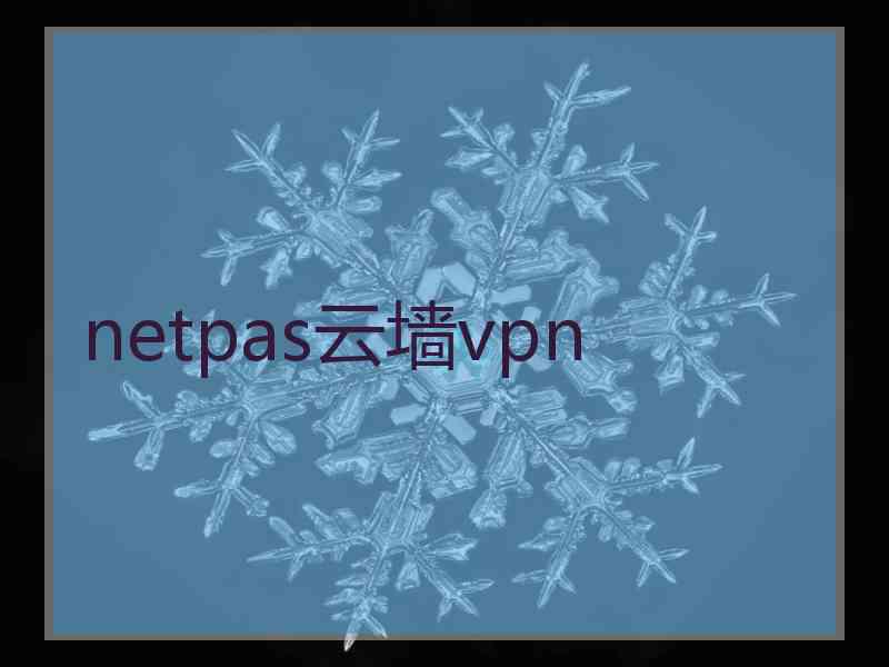 netpas云墙vpn