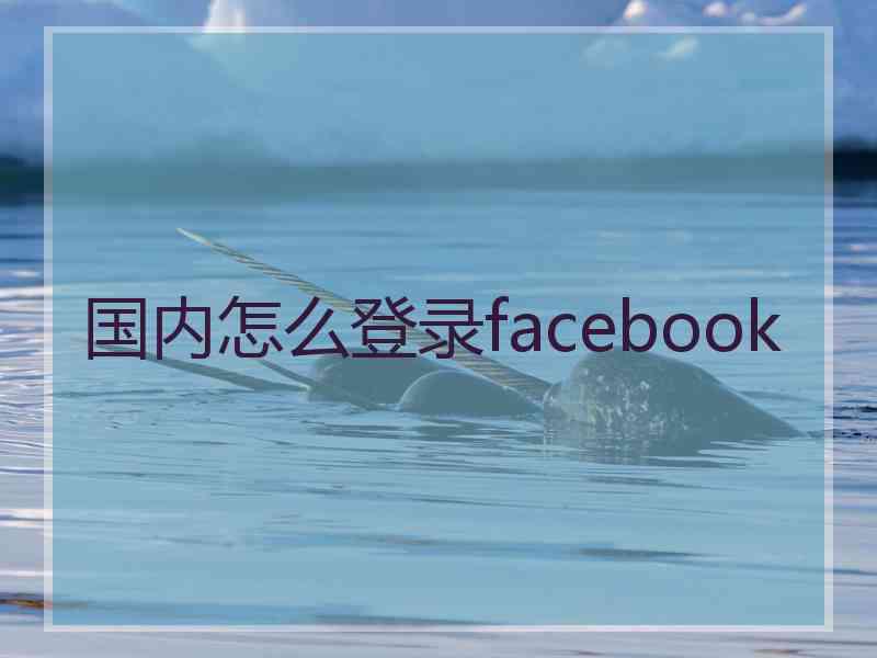 国内怎么登录facebook