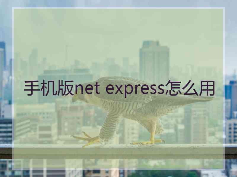 手机版net express怎么用