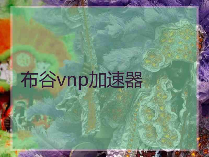 布谷vnp加速器