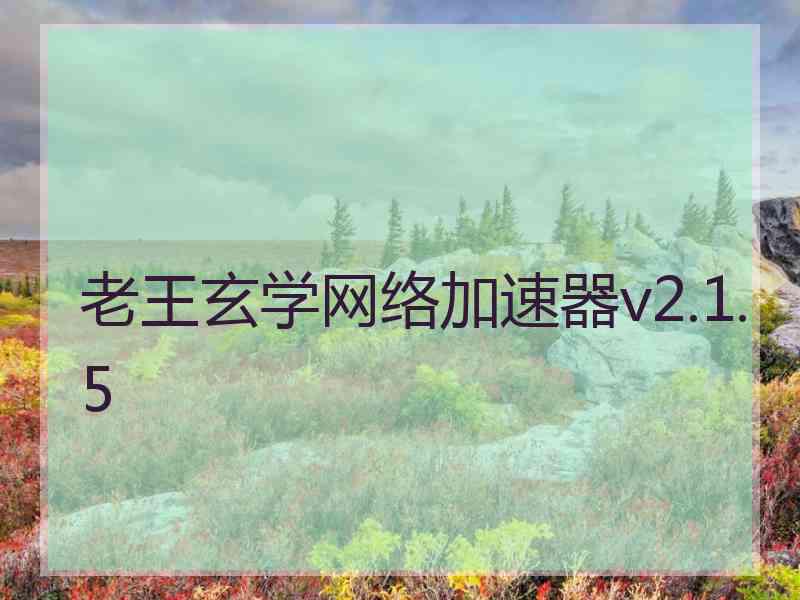 老王玄学网络加速器v2.1.5