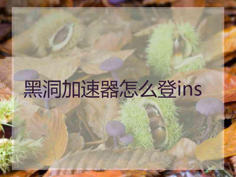 黑洞加速器怎么登ins