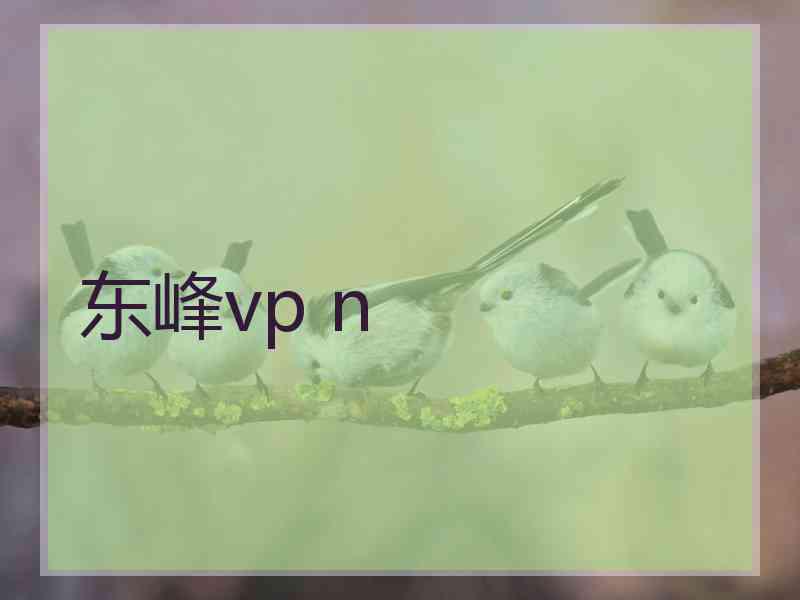 东峰vp n