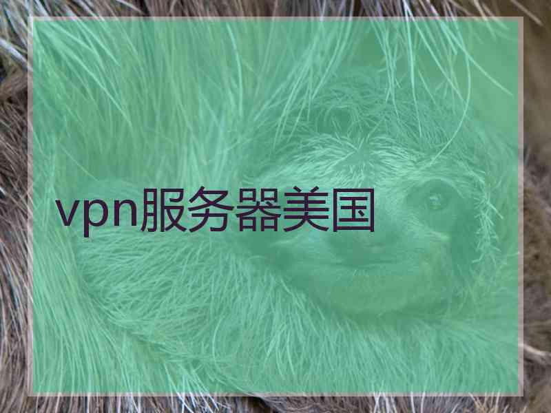 vpn服务器美国