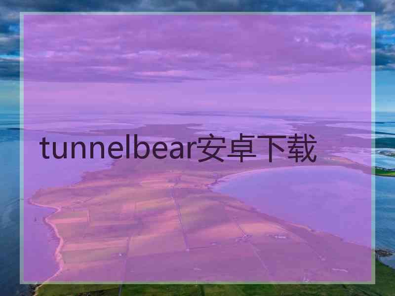 tunnelbear安卓下载