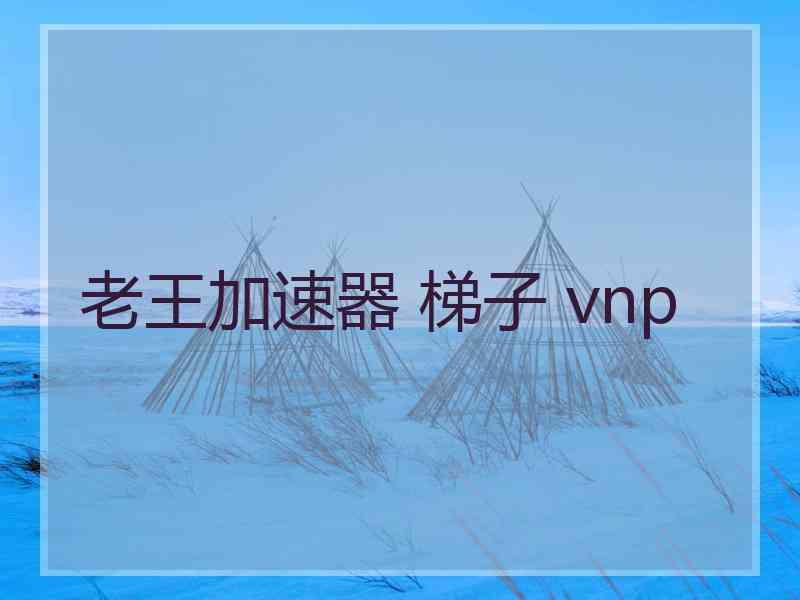 老王加速器 梯子 vnp