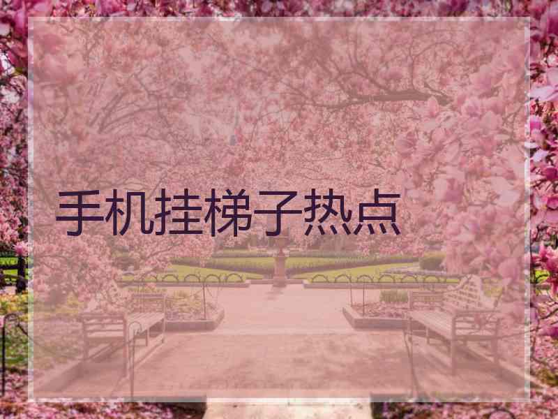 手机挂梯子热点