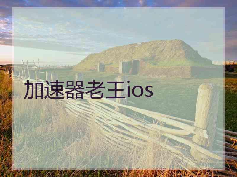 加速器老王ios