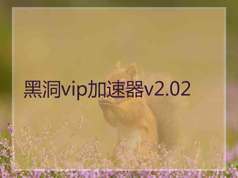 黑洞vip加速器v2.02