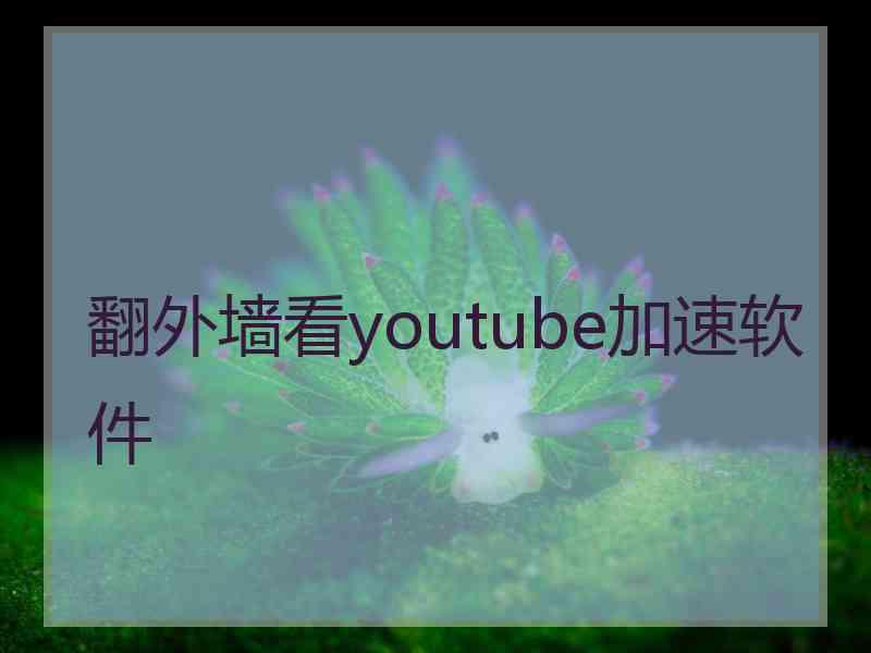 翻外墙看youtube加速软件