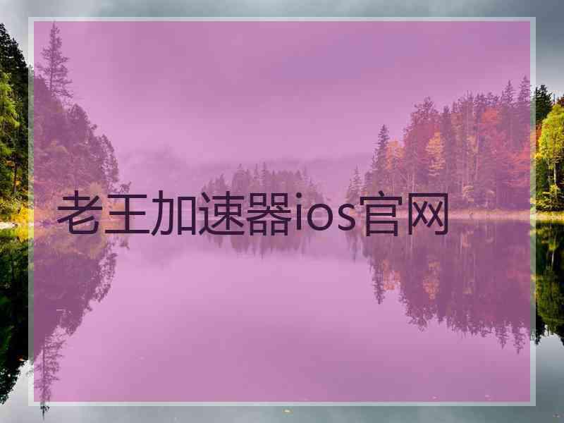 老王加速器ios官网