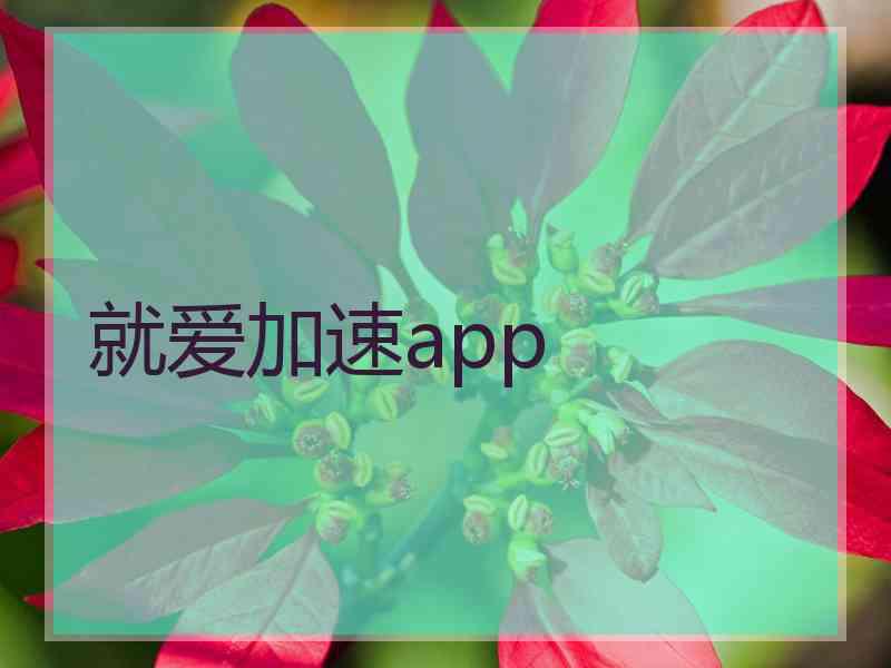 就爱加速app