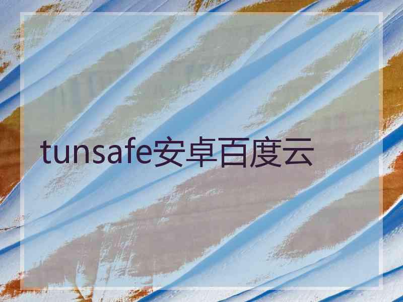 tunsafe安卓百度云