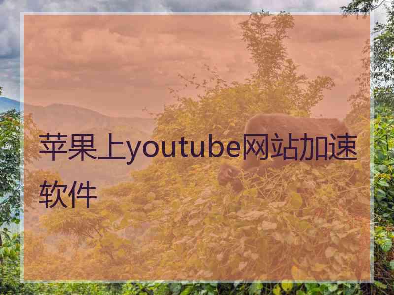 苹果上youtube网站加速软件