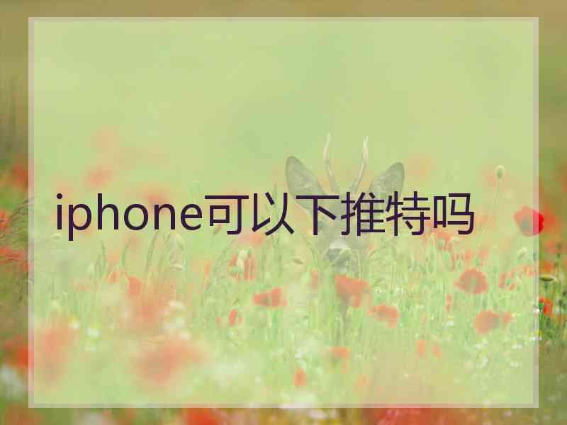 iphone可以下推特吗