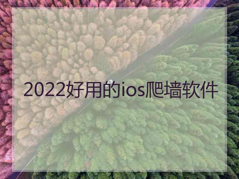 2022好用的ios爬墙软件