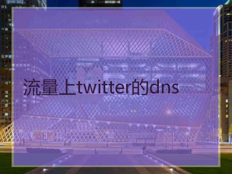 流量上twitter的dns