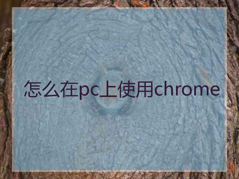 怎么在pc上使用chrome