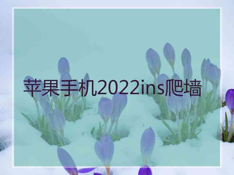 苹果手机2022ins爬墙