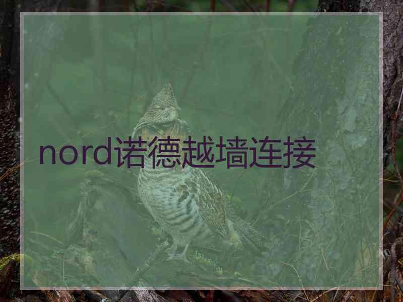 nord诺德越墙连接