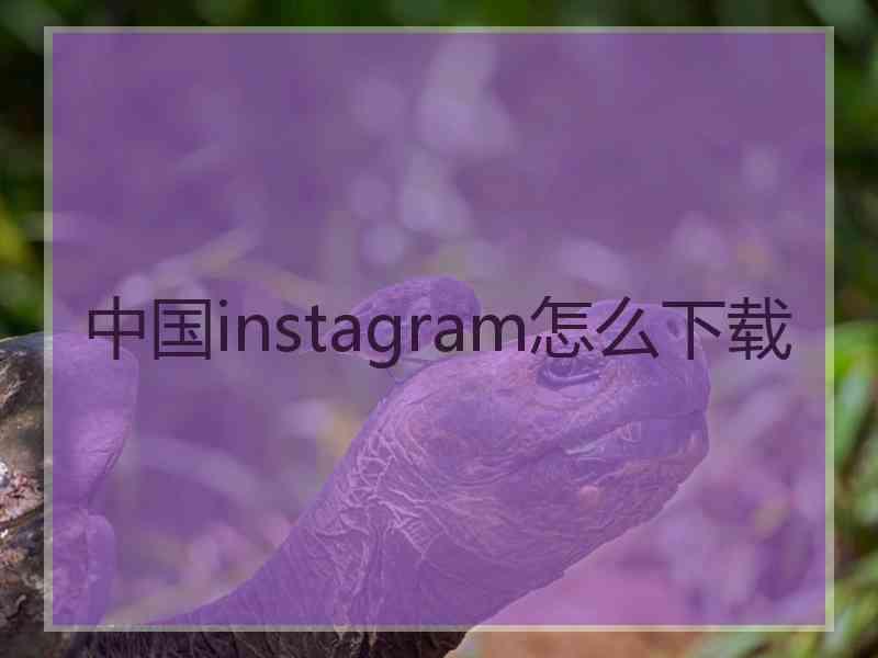 中国instagram怎么下载