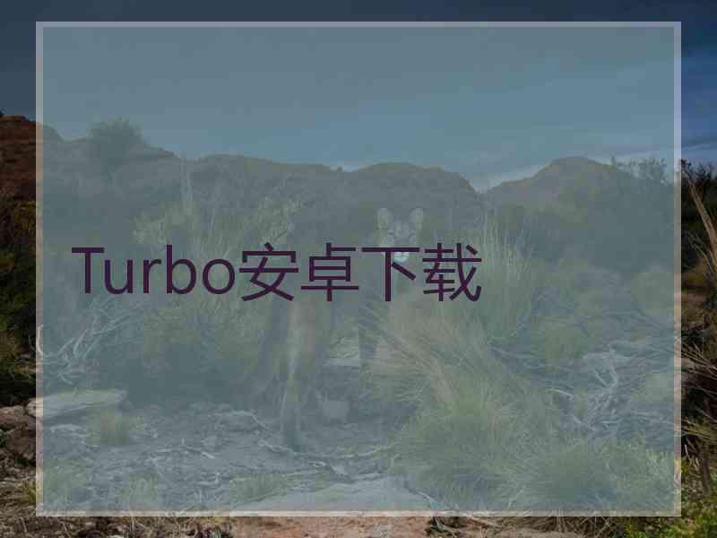 Turbo安卓下载