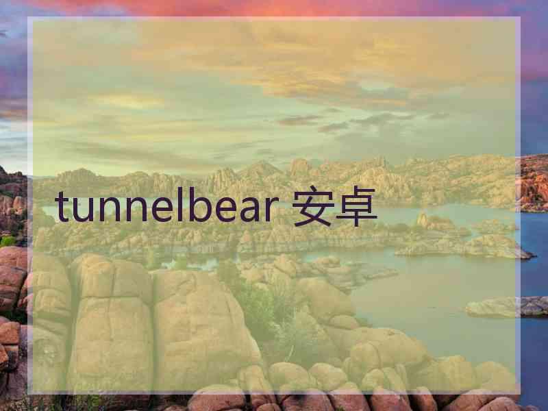 tunnelbear 安卓