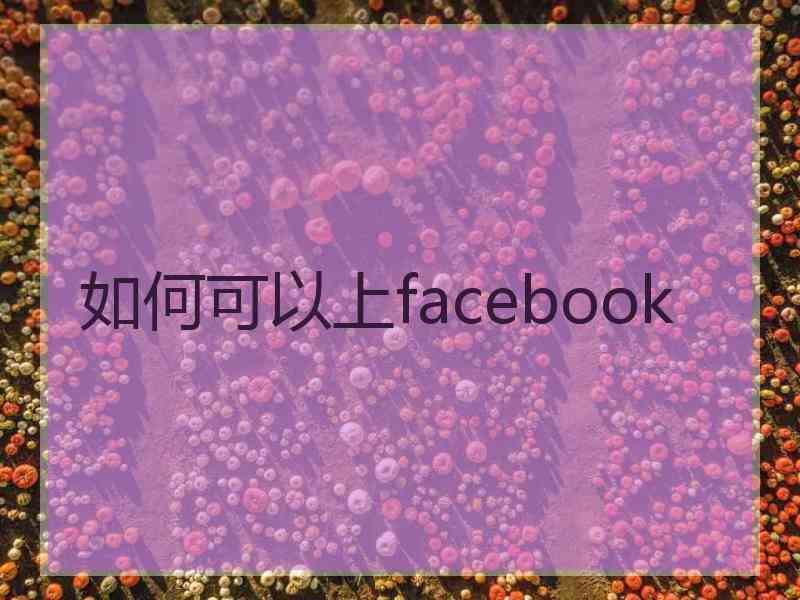 如何可以上facebook