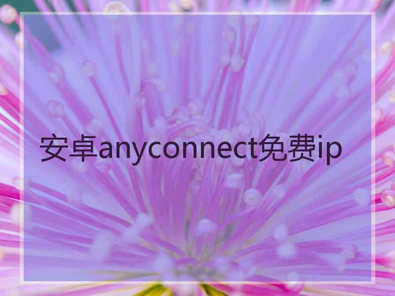 安卓anyconnect免费ip