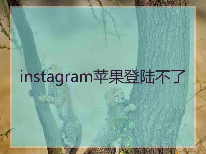 instagram苹果登陆不了