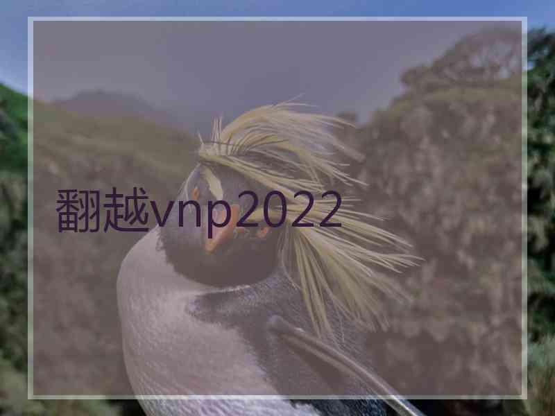 翻越vnp2022