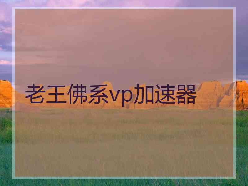 老王佛系vp加速器