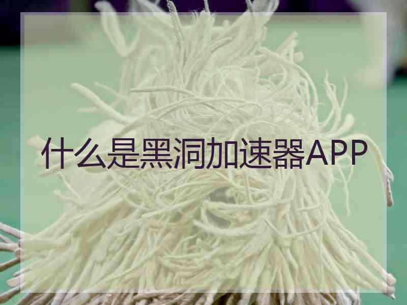 什么是黑洞加速器APP