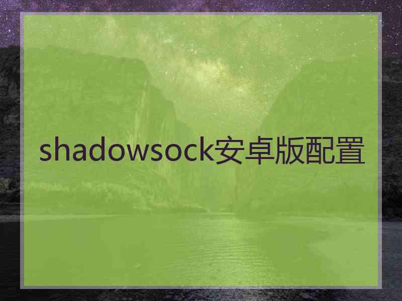 shadowsock安卓版配置