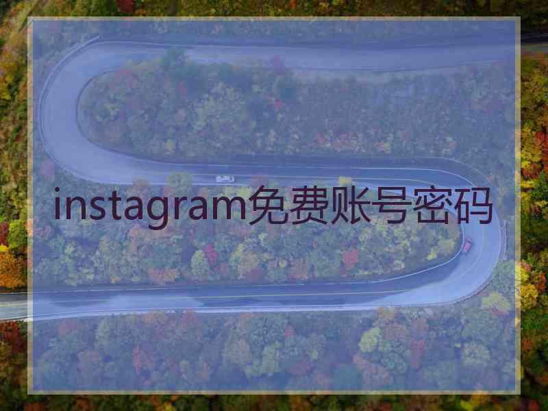 instagram免费账号密码